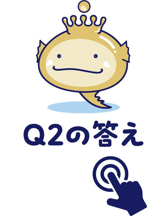 Q2の答え